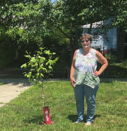 Mary Luedders and her Tulip tree.