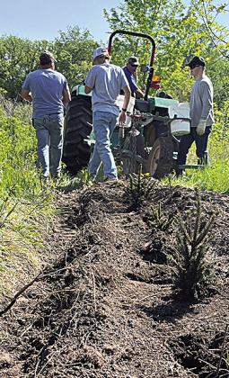 NRD Taking Orders for Spring Conservation Tree Plantings